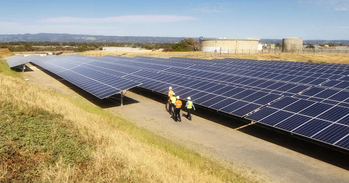 Has 100 Days Without Load Shedding Led to the Decline of South Africa’s Solar Industry?